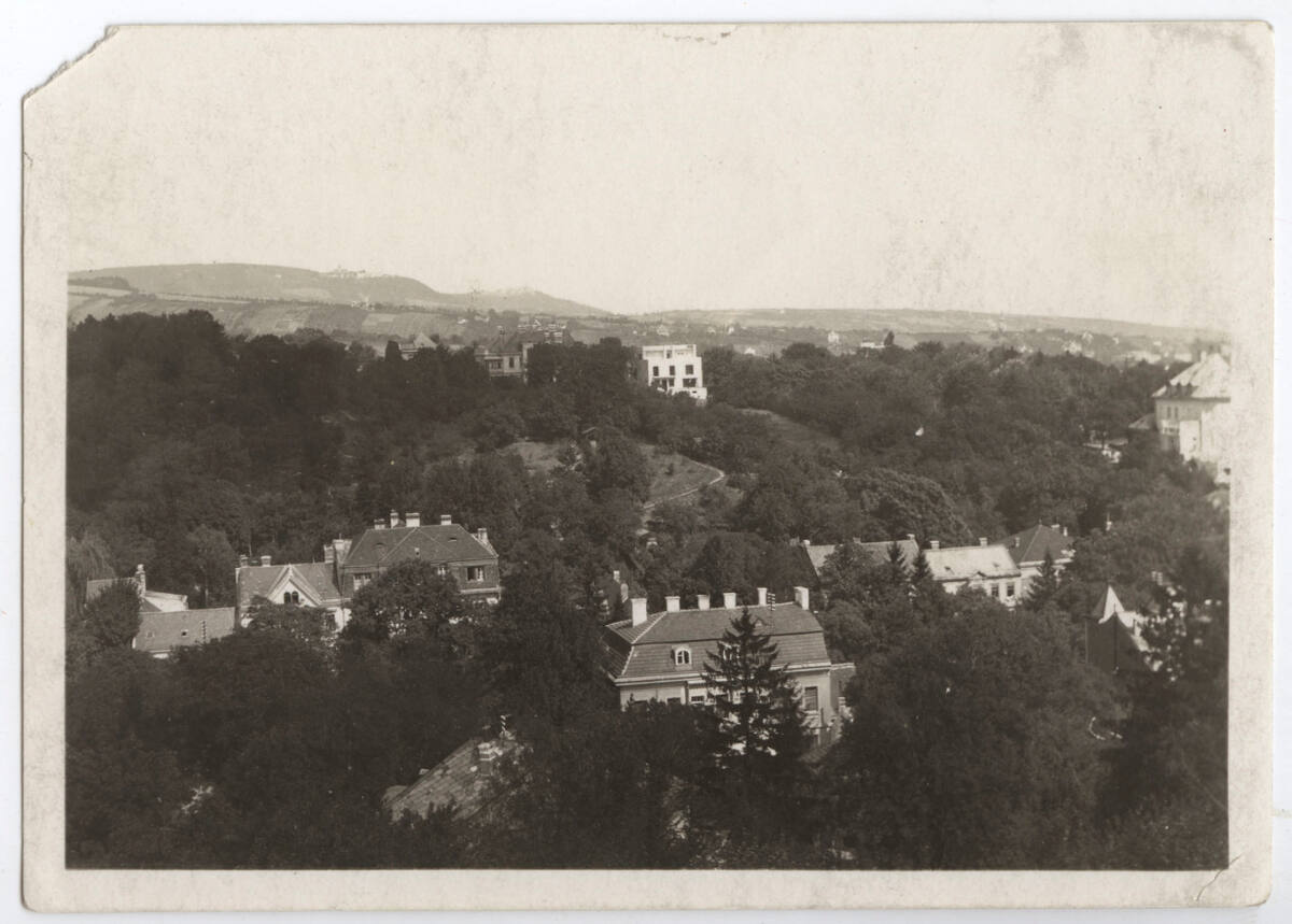 Anonym, Haus Hans und Anny Moller, Wien XVIII., Starkfriedgasse 19, Gartenseite von der Ferne