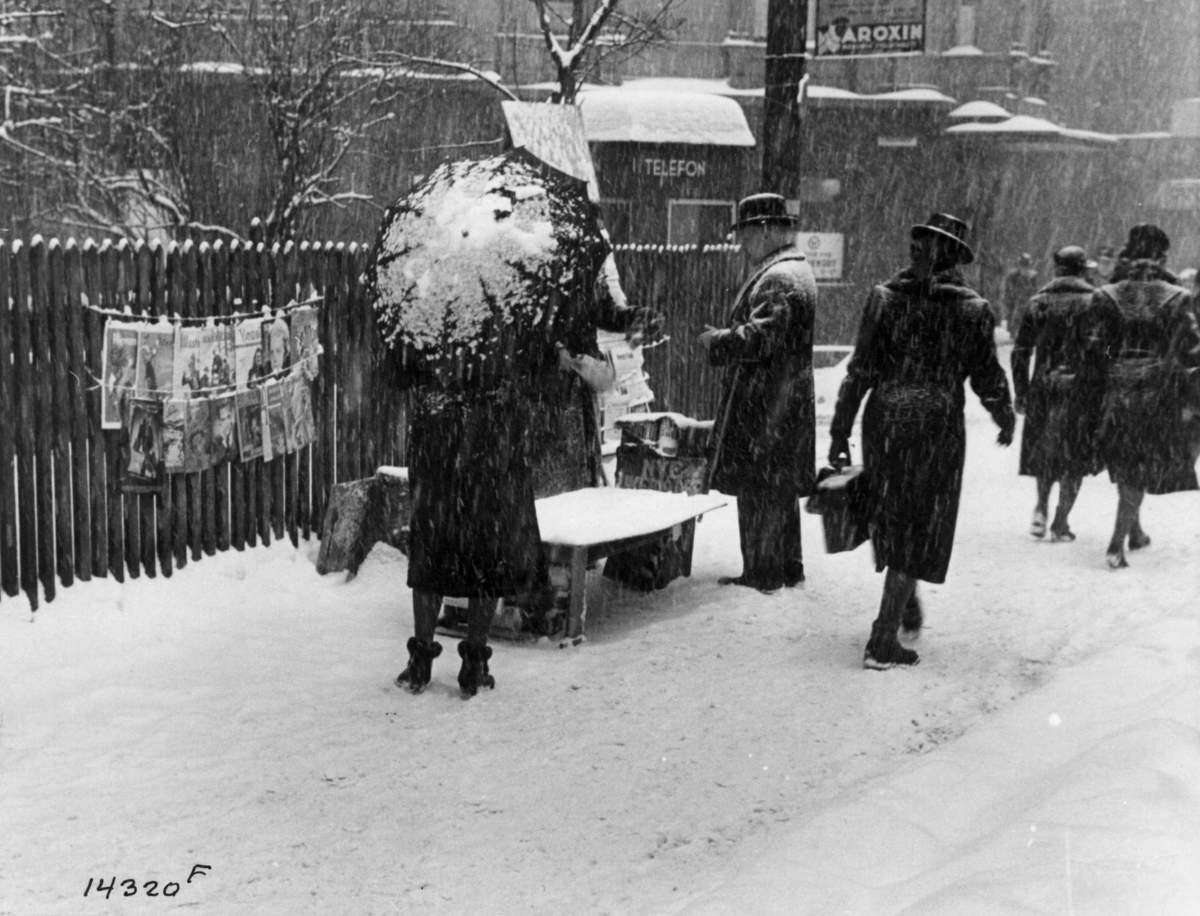 Anders Beer Wilse, Aviser, Varehandel, Snovær, Vinter