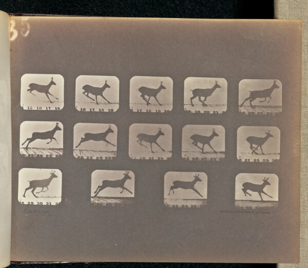 Eadweard J. Muybridge, Running