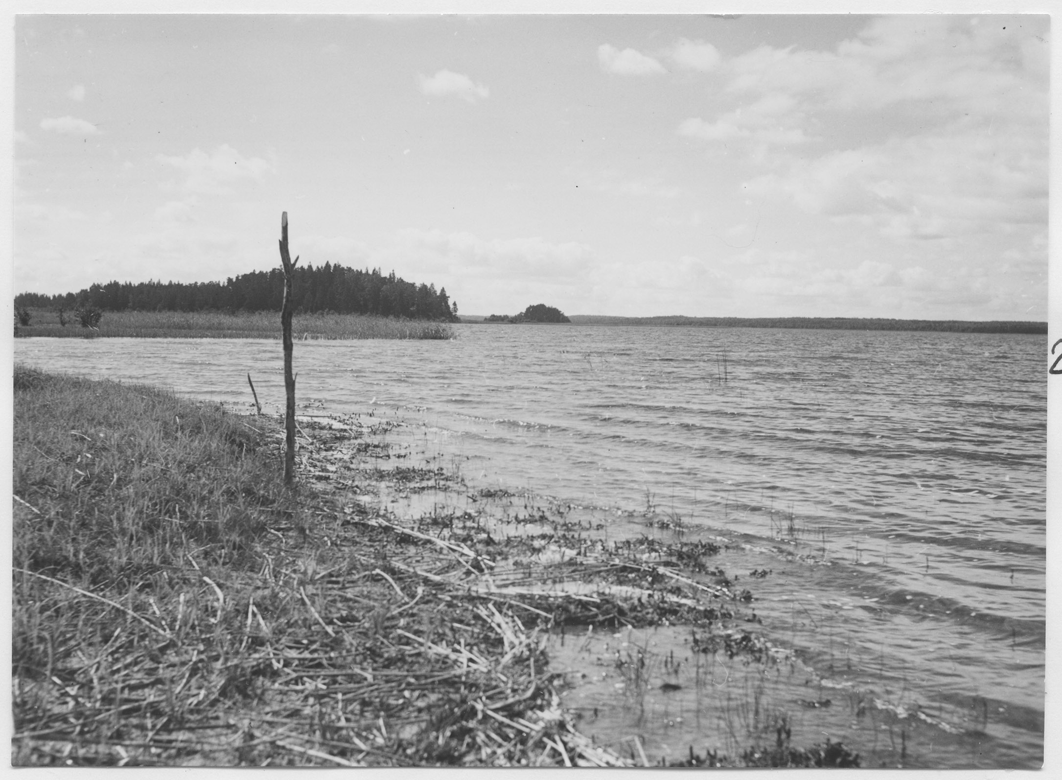 Mårten Sjöbeck, Toftaholm