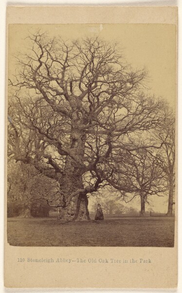 Francis Bedford, Stoneleigh Abbey - The Old Oak Tree in the Park.