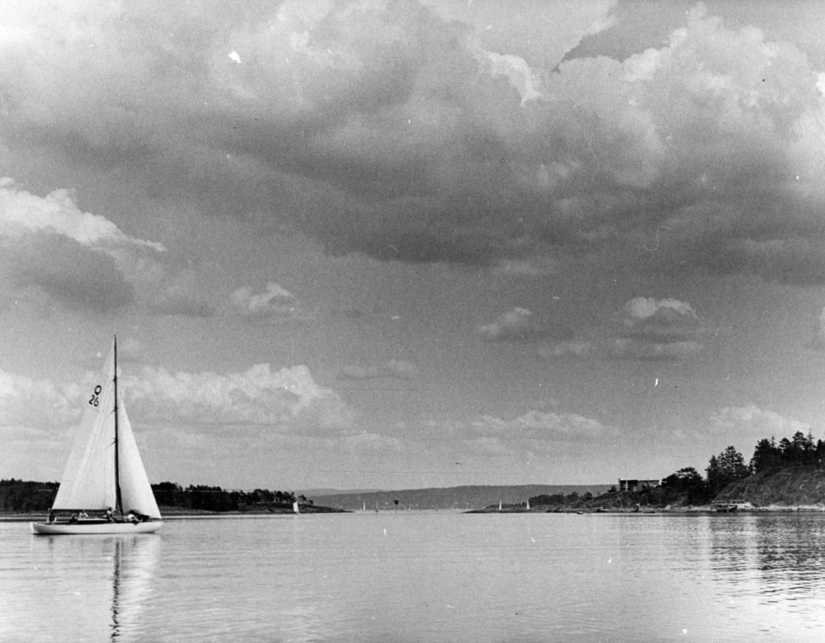 Anders Beer Wilse, Seilsport