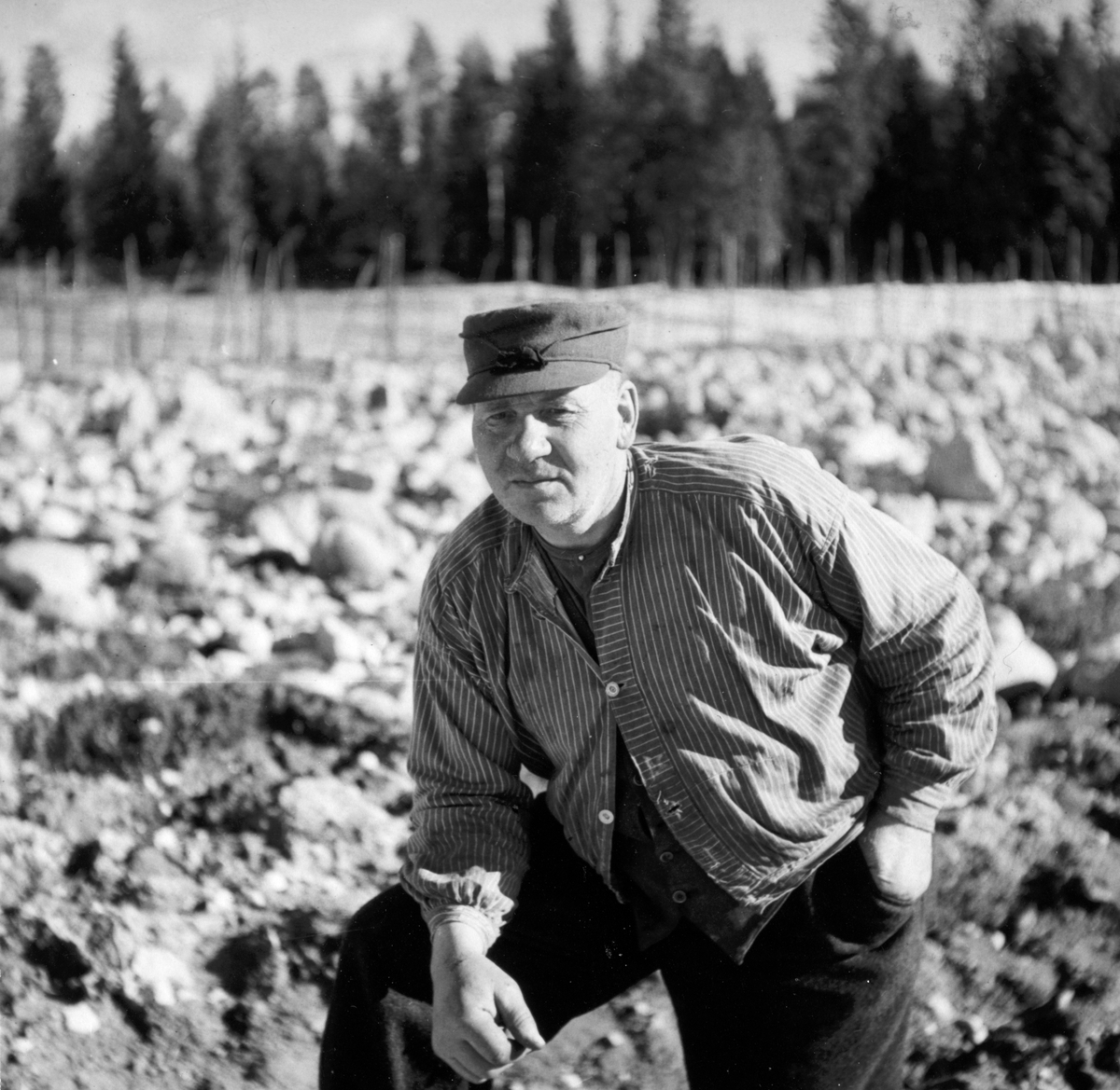 Anno Domkirkeodden, Dyri gard i Løten, slåttonn. Gardbruker Paul Svevad, portrett. Svevad var formann i Fura og Svartelva tverrelvforening, fløterforening