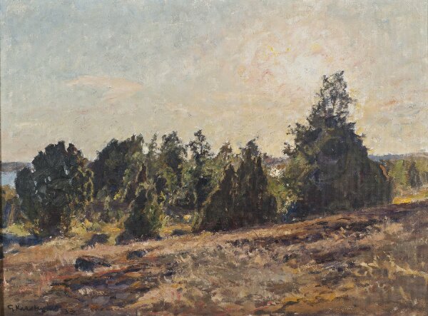 Gottfrid Kallstenius, Mot kvällen. Horsö i Tjusts skärgård
