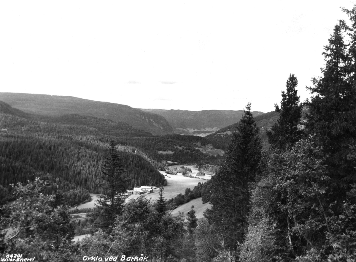 Anders Beer Wilse, Topografi