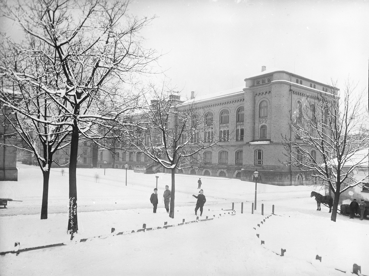 Anders Beer Wilse, Prot: Historiske Museeum Vinter 8/2 1905