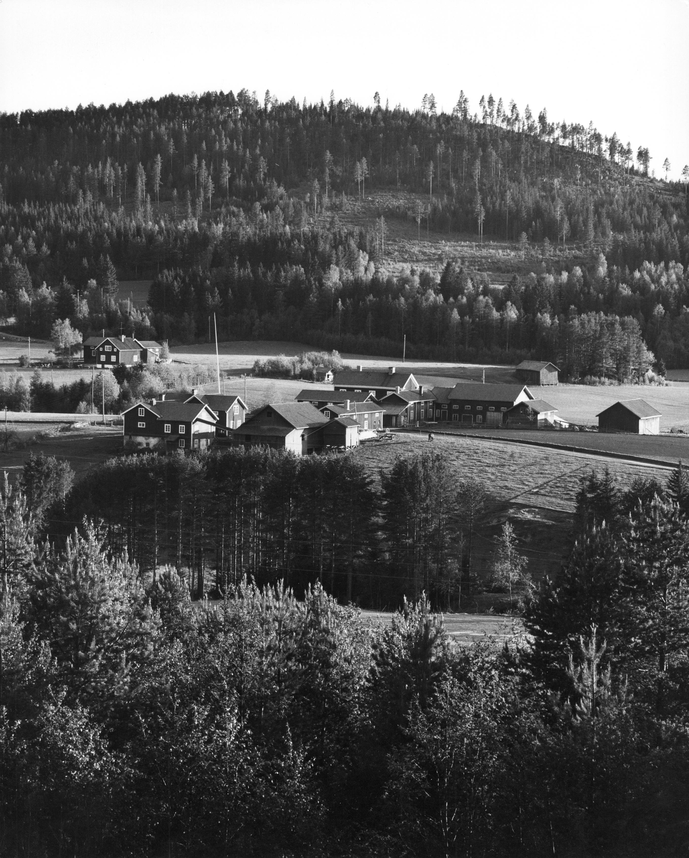 Pål-Nils Nilsson, Fallbacke