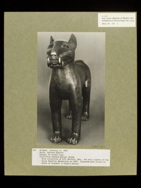 Walker Evans, Leopard.  Benin.