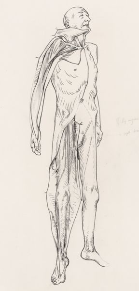J Tinkelenberg, Male subject with his arm and leg dissected