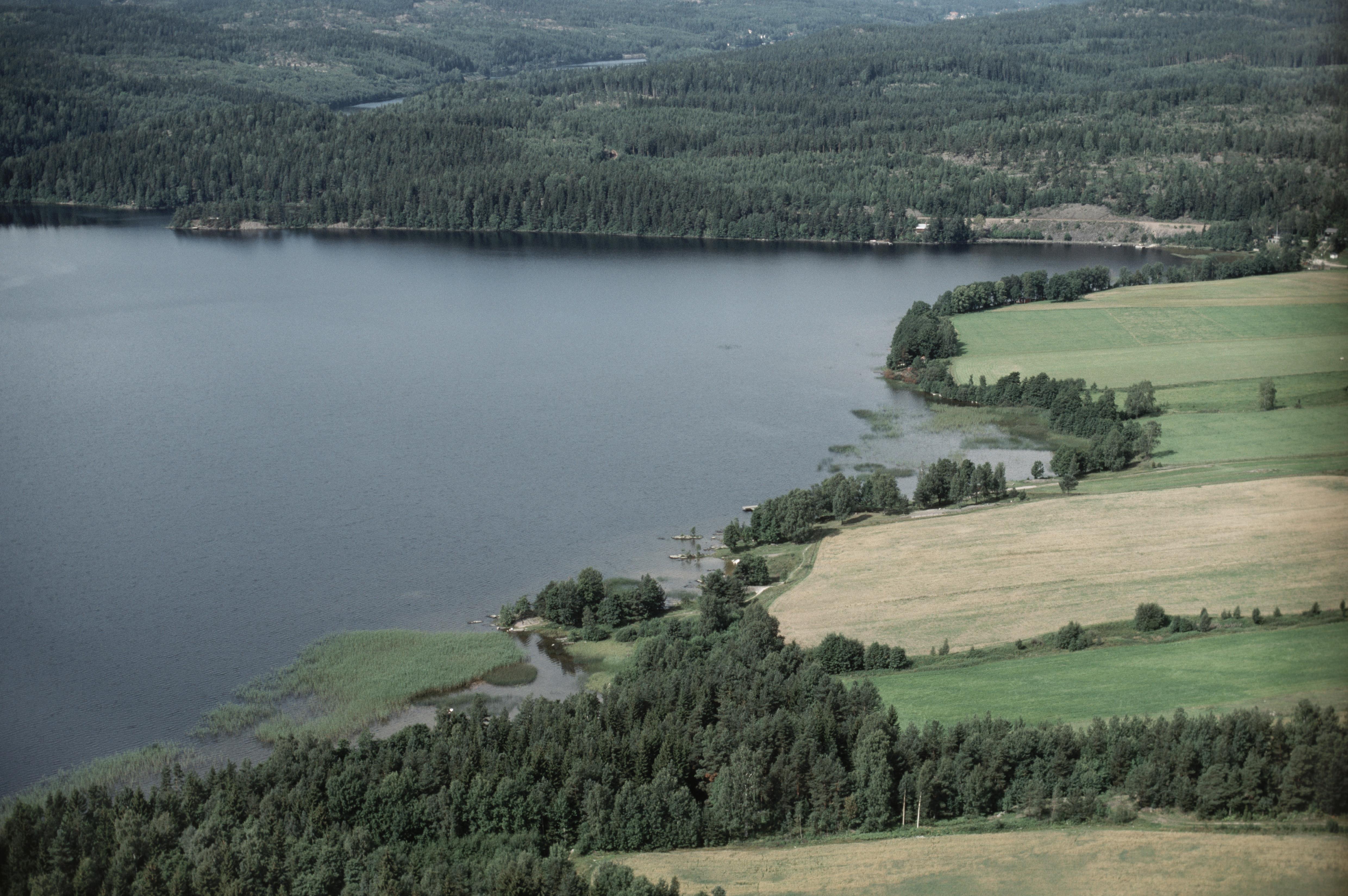 Jan Norrman, Tisselskog 15:1