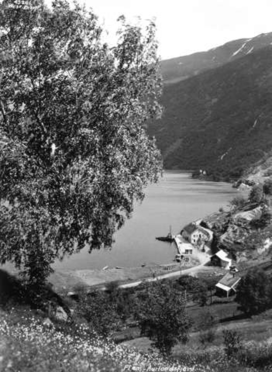 Anders Beer Wilse, -6055