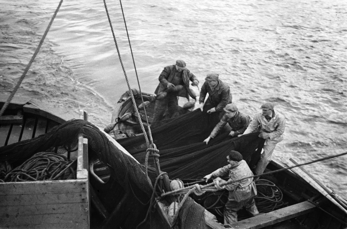 Anders Beer Wilse, Prot: Sildefiske Paa havet nær Haugesund