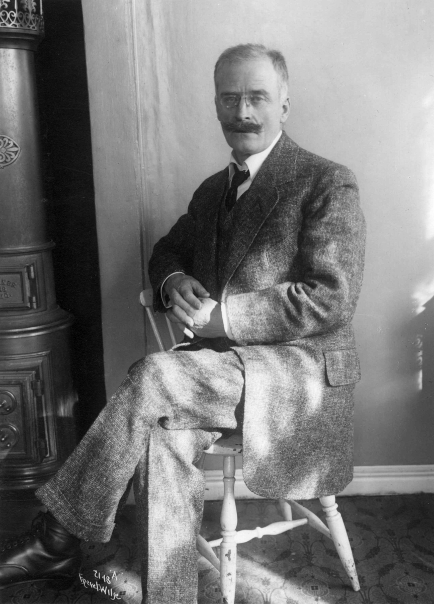 Anders Beer Wilse, Hamsun