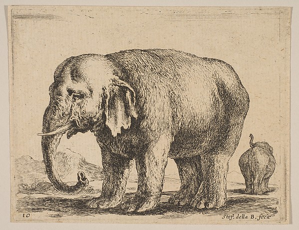 Stefano della Bella, Plate 10: Elephant, from "Various animals" (Diversi animali)