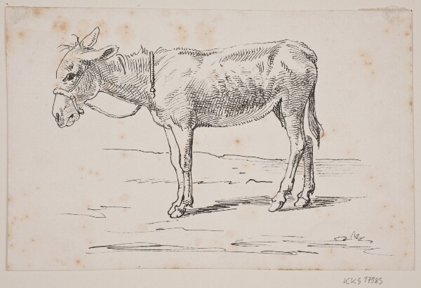 Wilhelm Marstrand, Et æsel