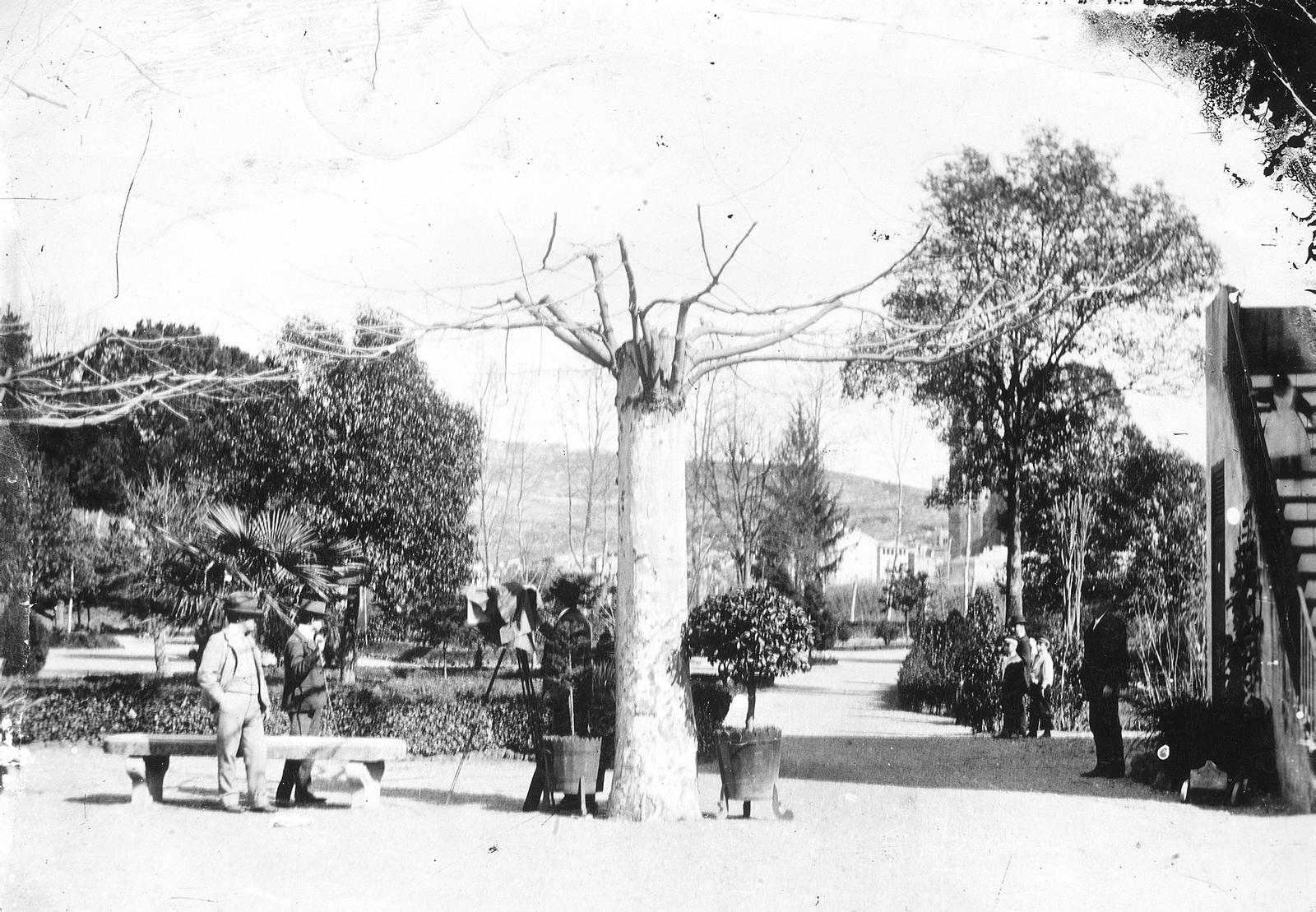 Desconegut, [Queen Victoria Gardens]