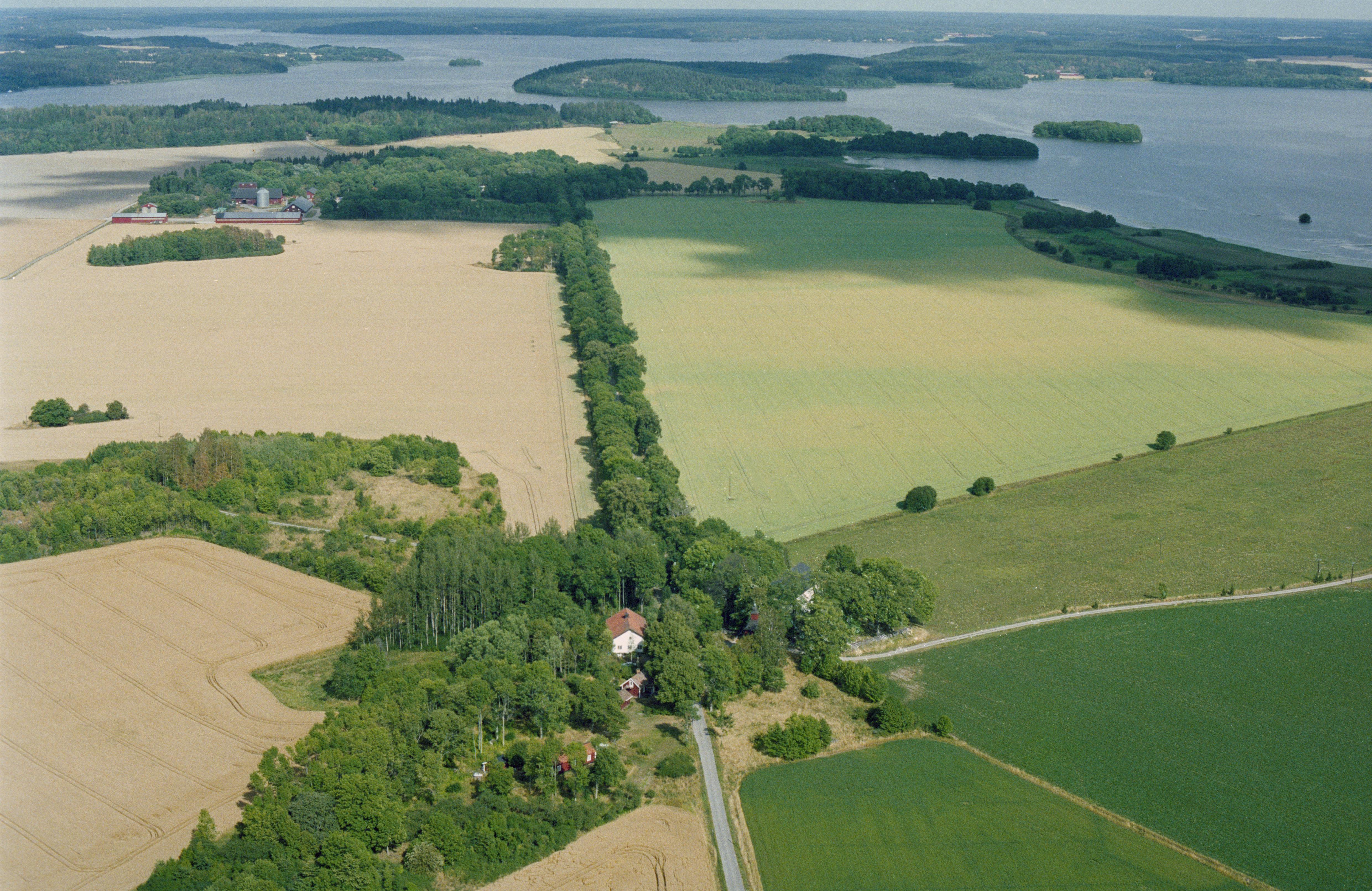 Jan Norrman, Holm 8:1