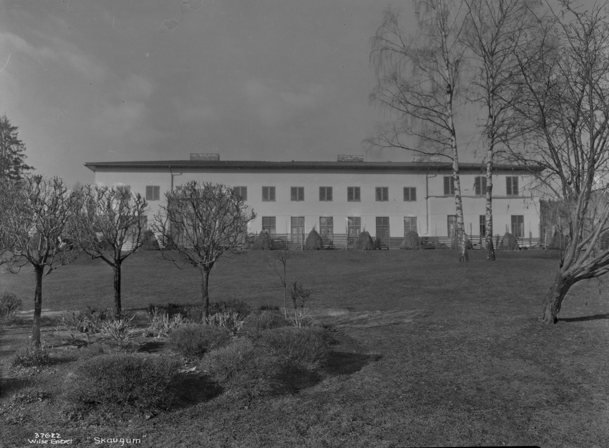 Anders Beer Wilse, Prot: Skaugum