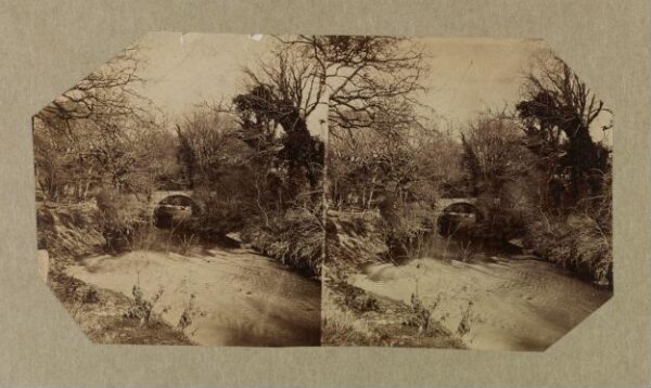 Clementina, Lady Hawarden, Photograph