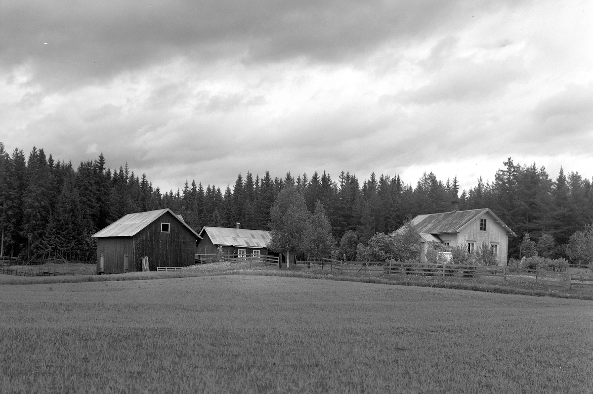 Anno Domkirkeodden, EKSTR: GARDSTUN, LIE. Se Løtenboka, bind 1. Bygdeboka fra 1949, side 130