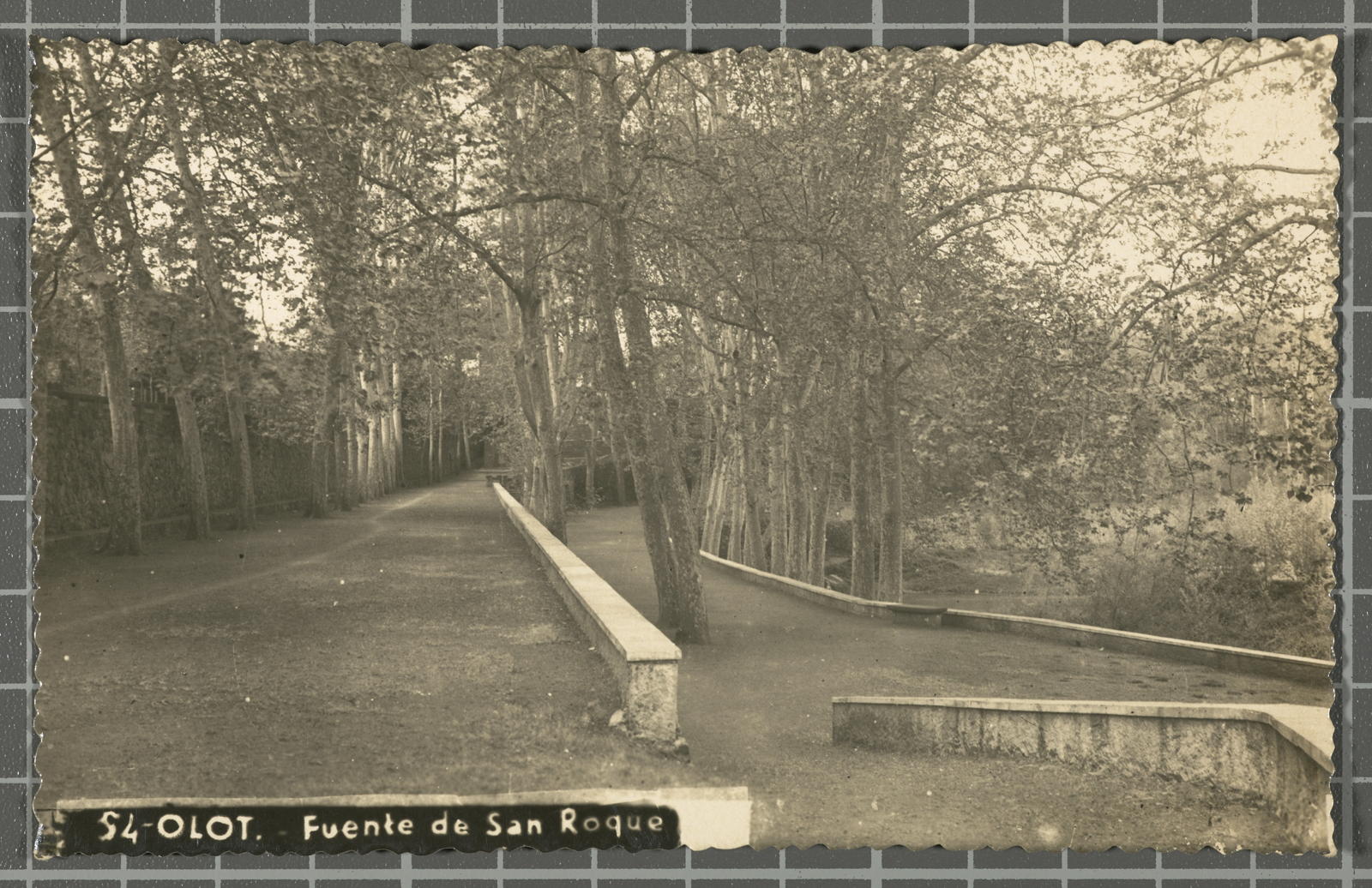 Desconegut, 54-Olot. - Fuente de San Roque
