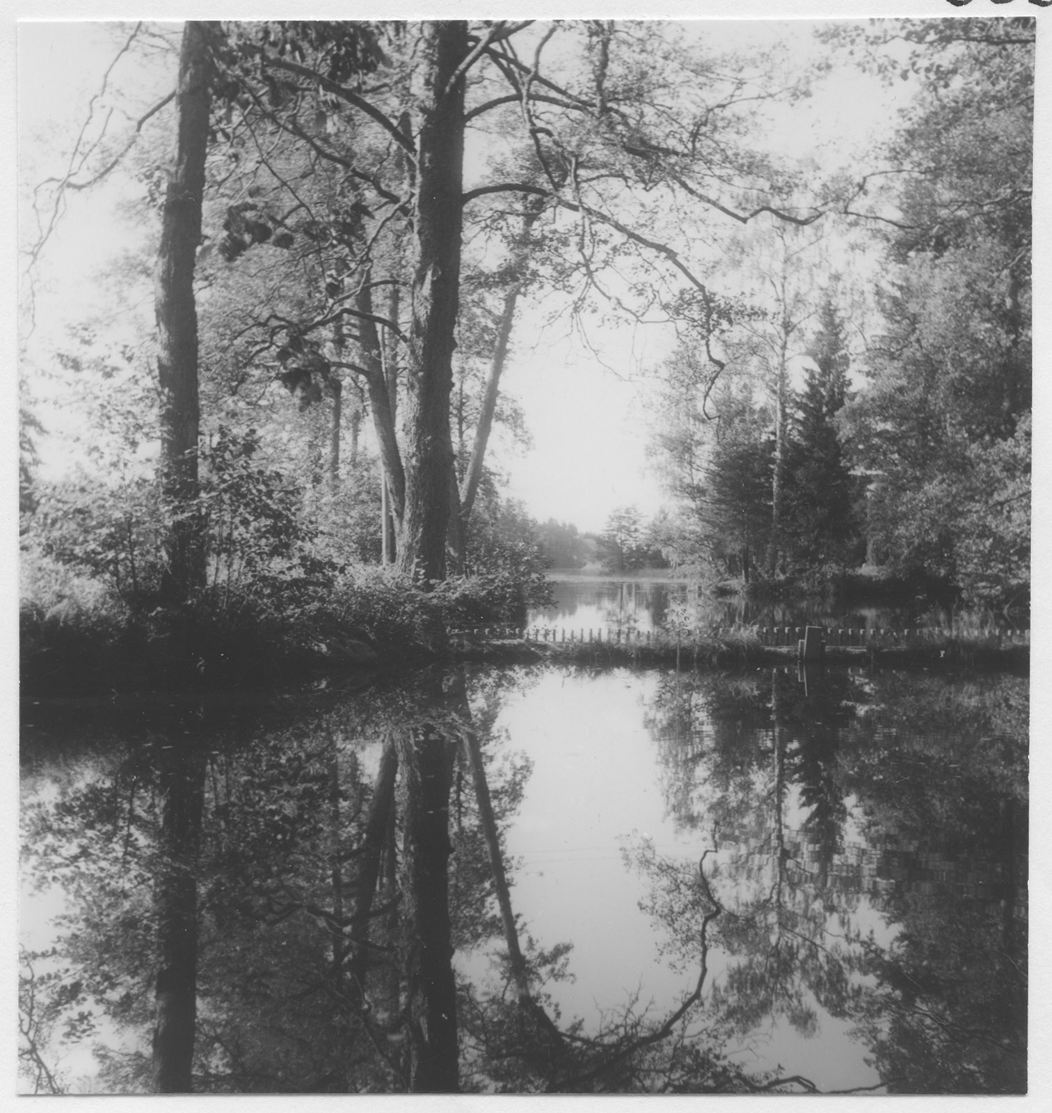 Mårten Sjöbeck, Virå