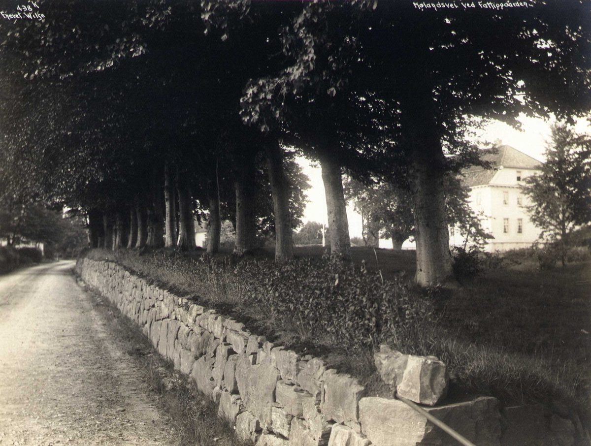 Anders Beer Wilse, Parti fra Molandsvei, Vestre Moland, Lillesand, Aust-Agder.