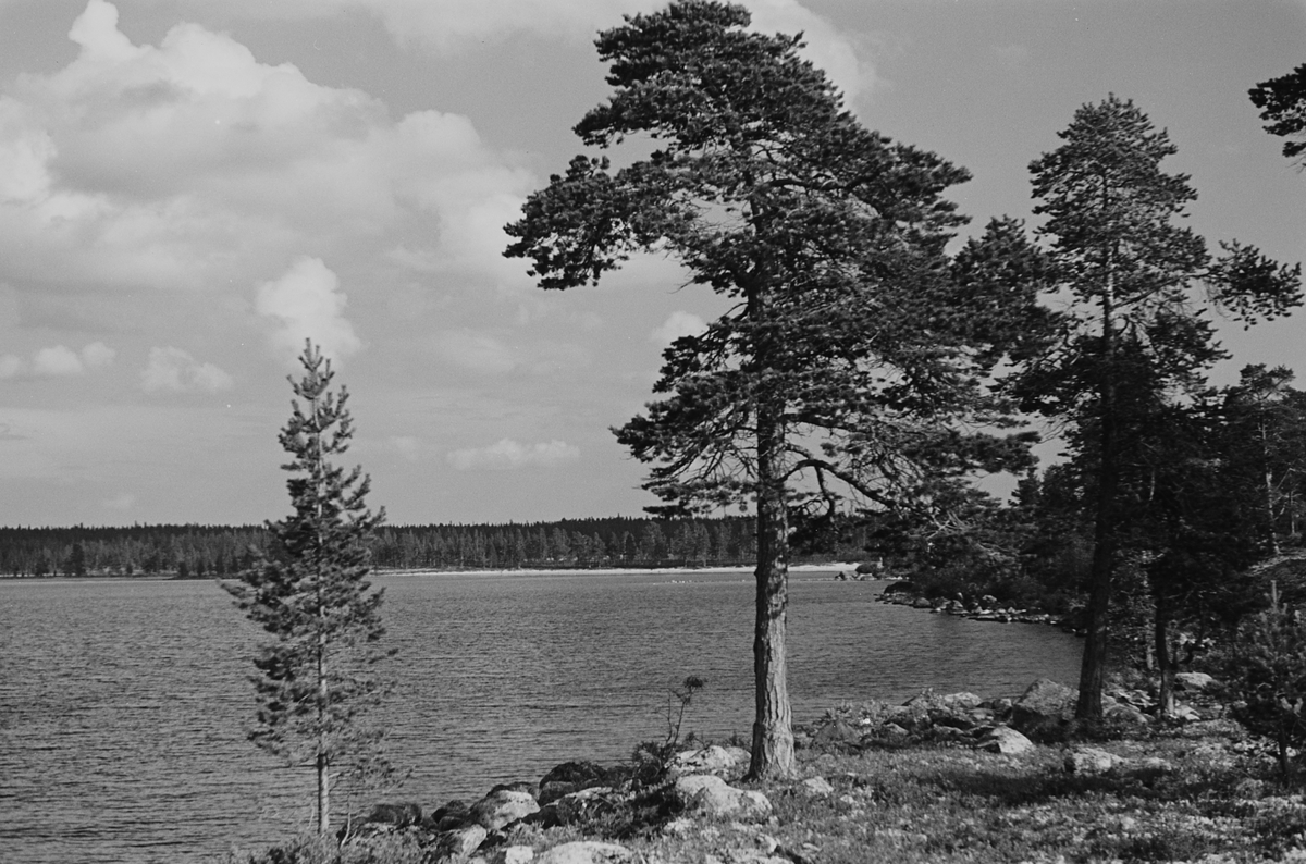 Anders Beer Wilse, Prot: Femundsjöen