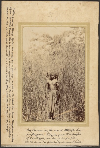 Unknown, An African Path through High Grass