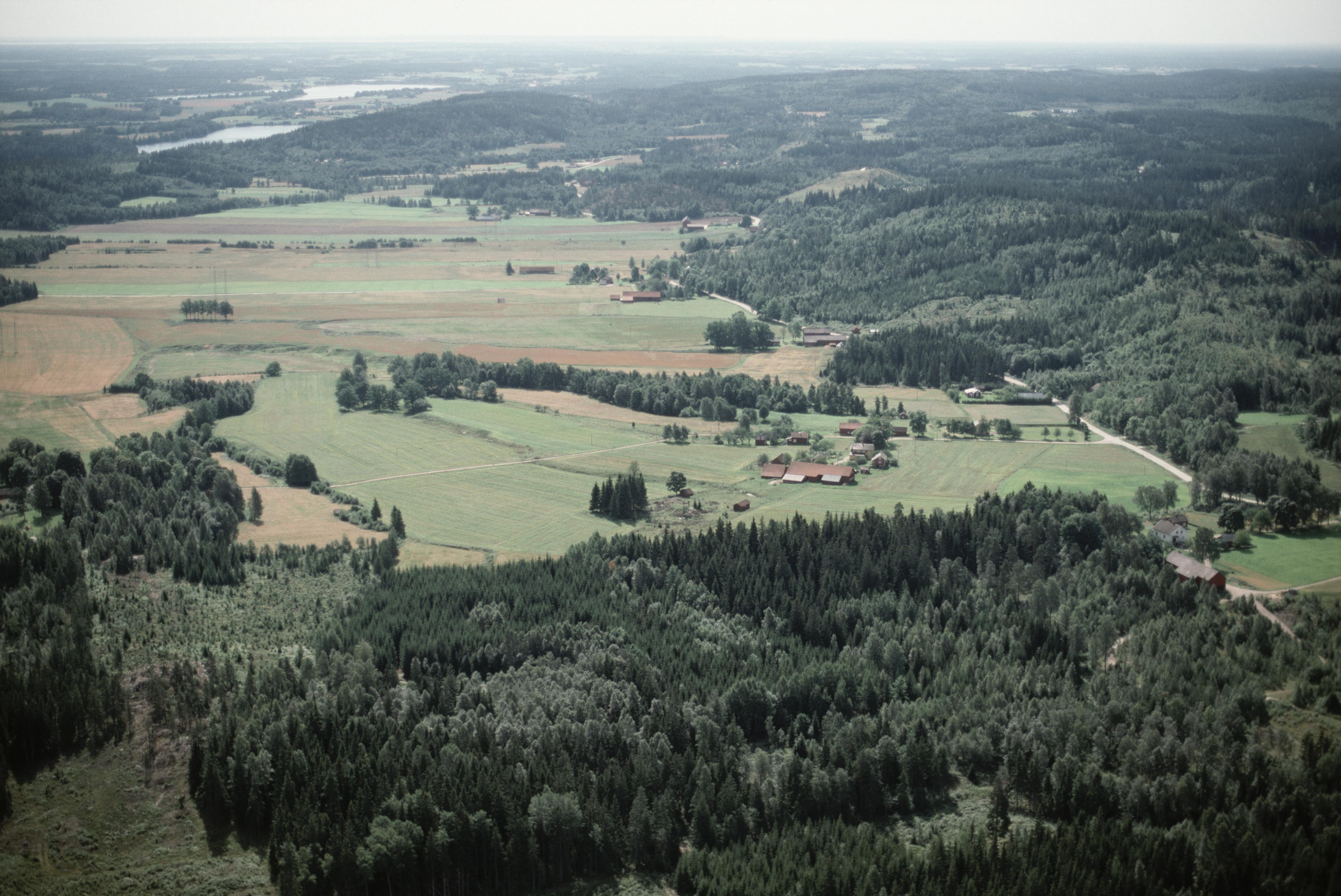 Jan Norrman, Dalskog 48:1