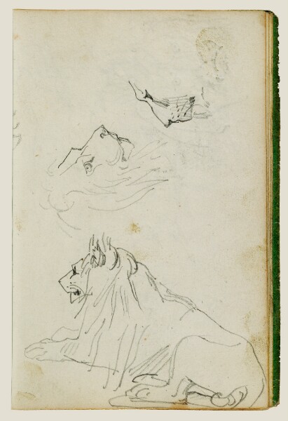 Théodore Géricault, Seated lion, two lion head studies
