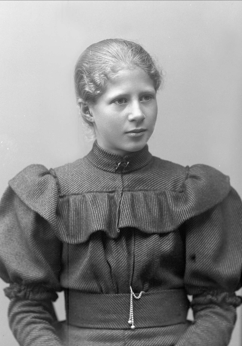 Gustav Borgen, NFB.31683