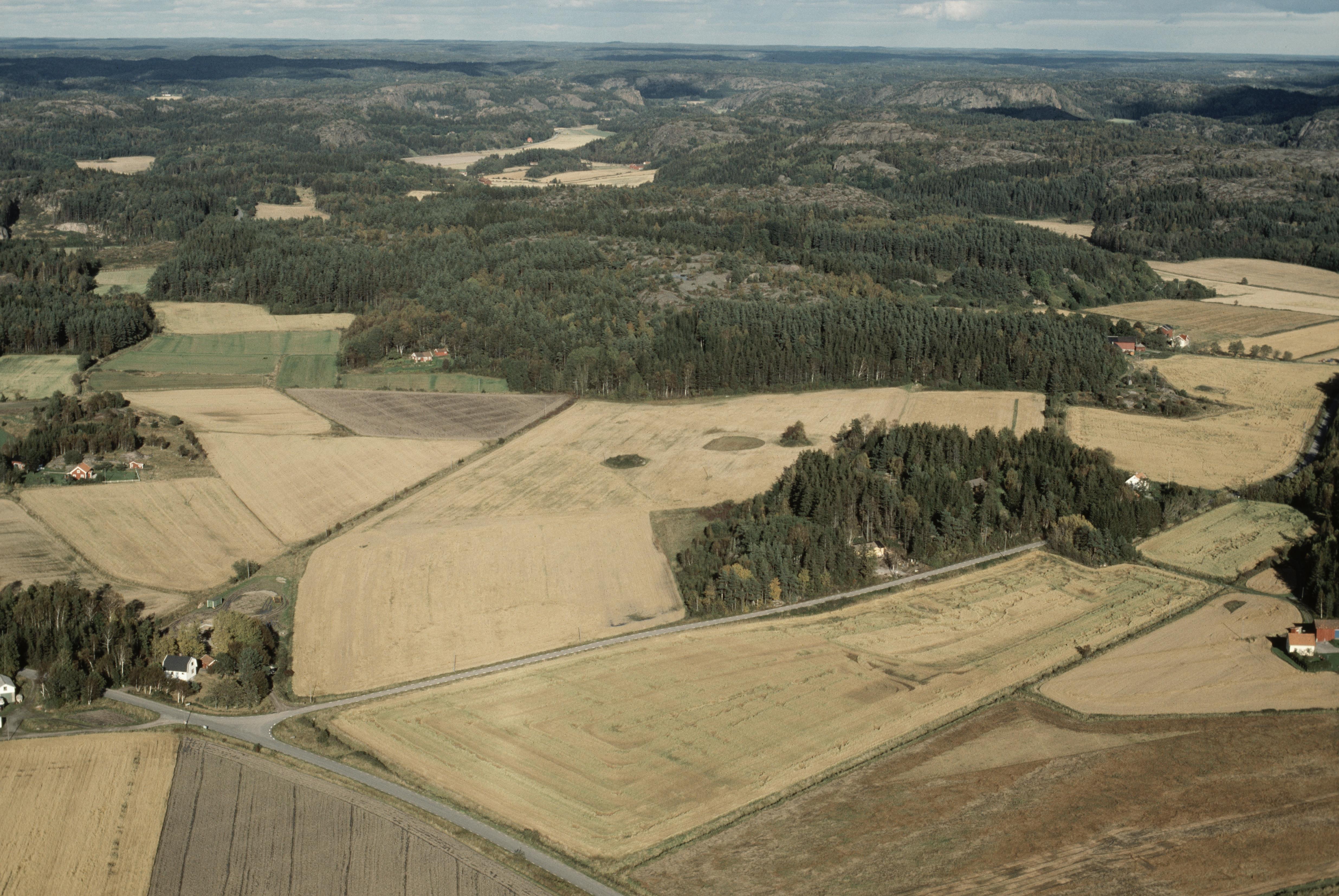Jan Norrman, Bottna 205:1