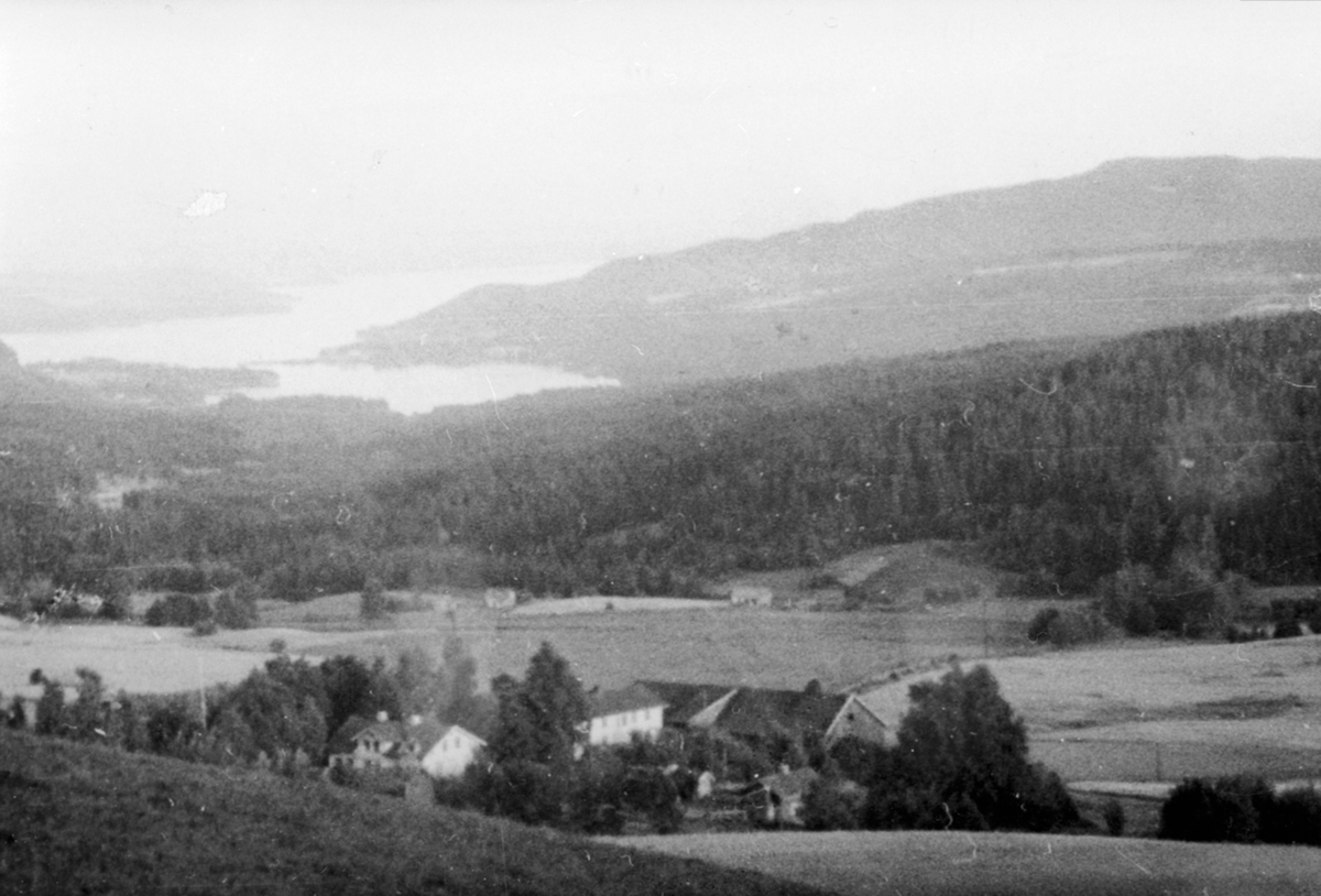 Anno Domkirkeodden, Oversikt, gardsbruk, Løken vestre, utsikt mot Bangsberget og Mjøsa, Veldre, Ringsaker.