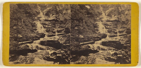 Edward and Henry T. Anthony & Co., The Glens of the Catskills. The Five Cascades Below Haines Fall.