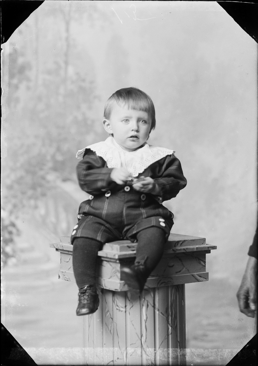 Skötsner-Edhlund, Ateljéporträtt - barn till fru Holmberg från Lysta, Hökhuvud socken, Uppland 1923