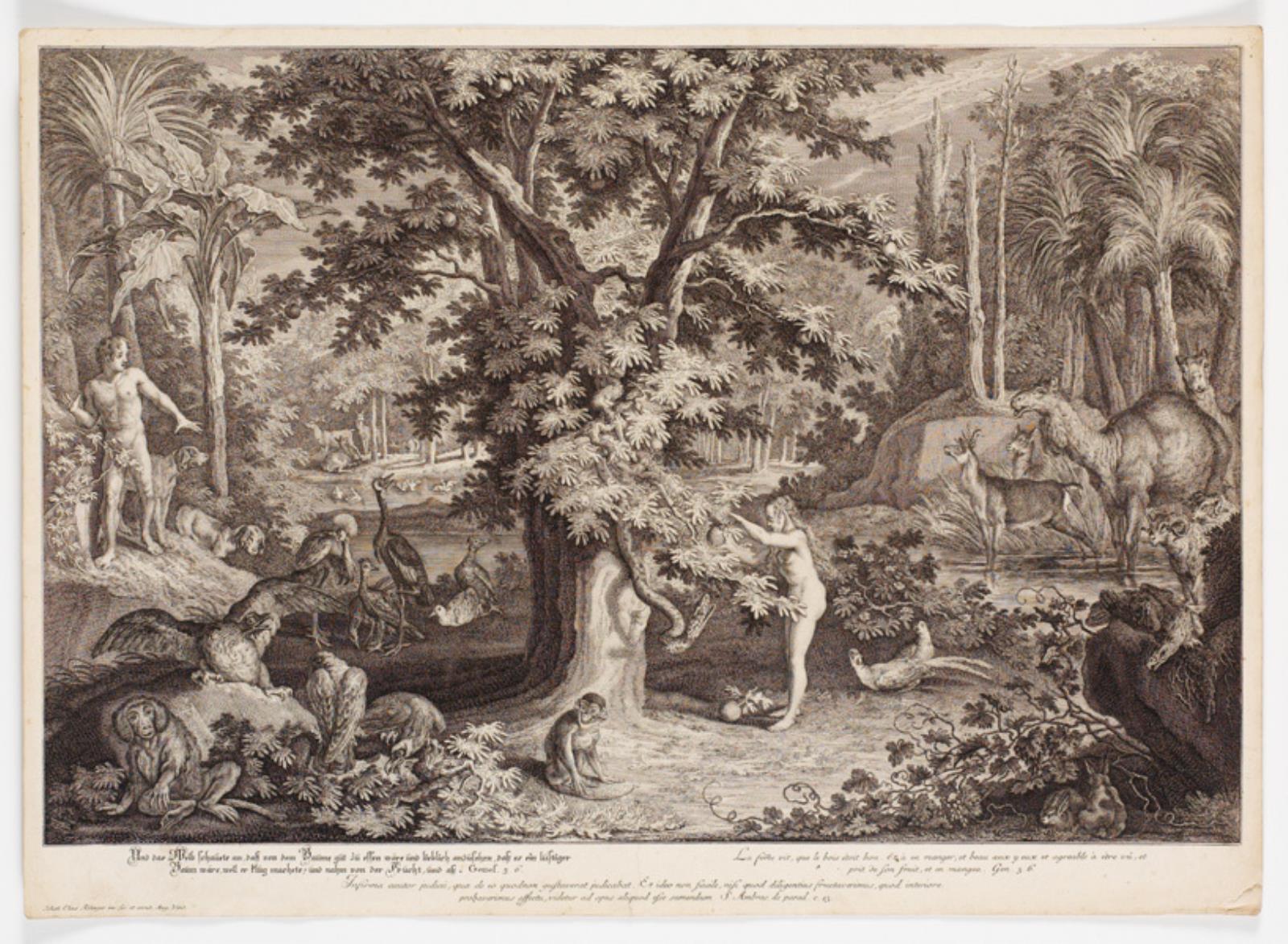 Johann Elias Ridinger, Eva plukker æblet på kundskabens træ