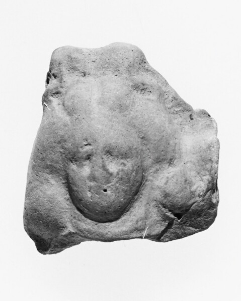 Unknown, Female Head