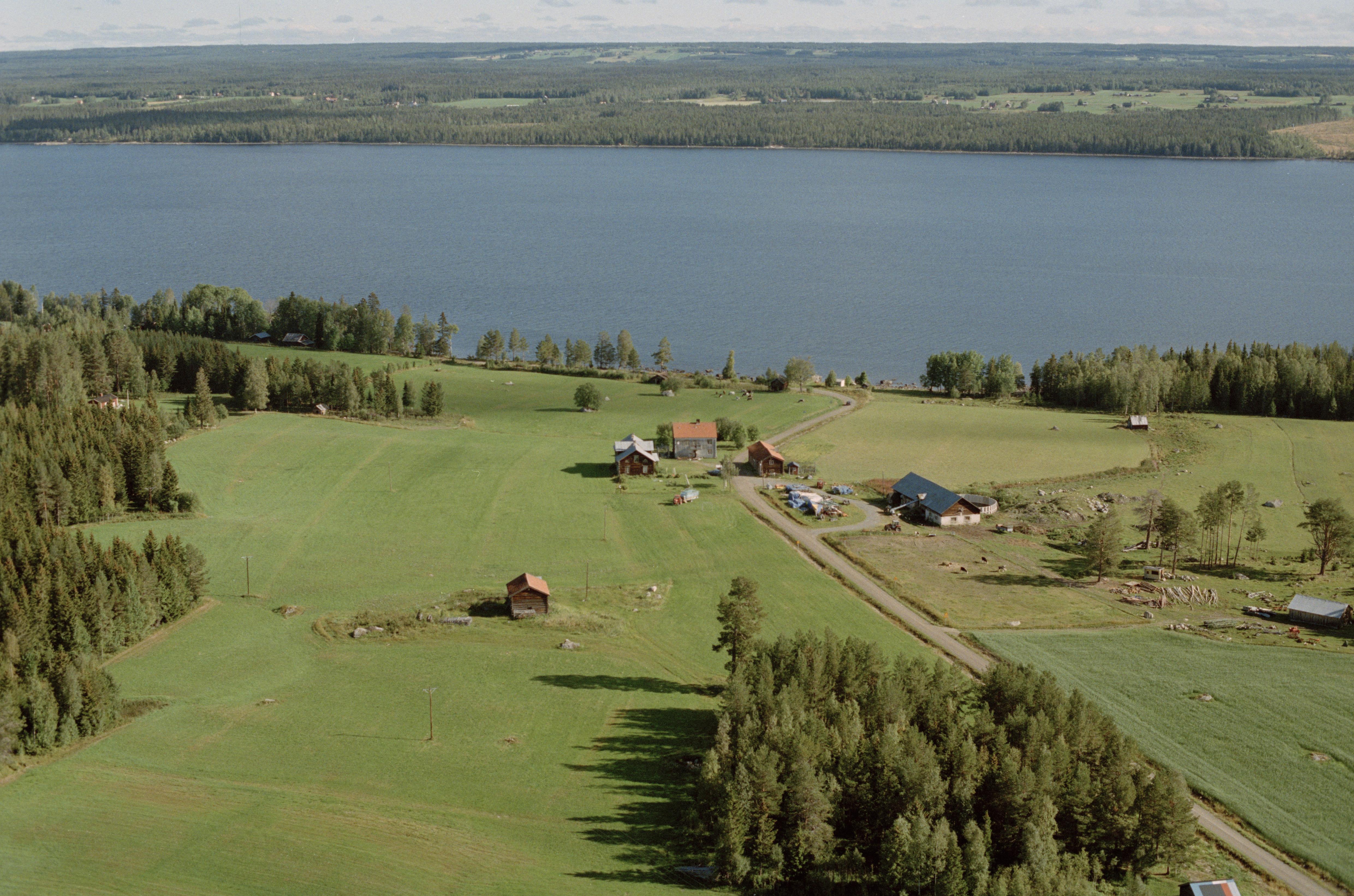 Jan Norrman, Oviken 565