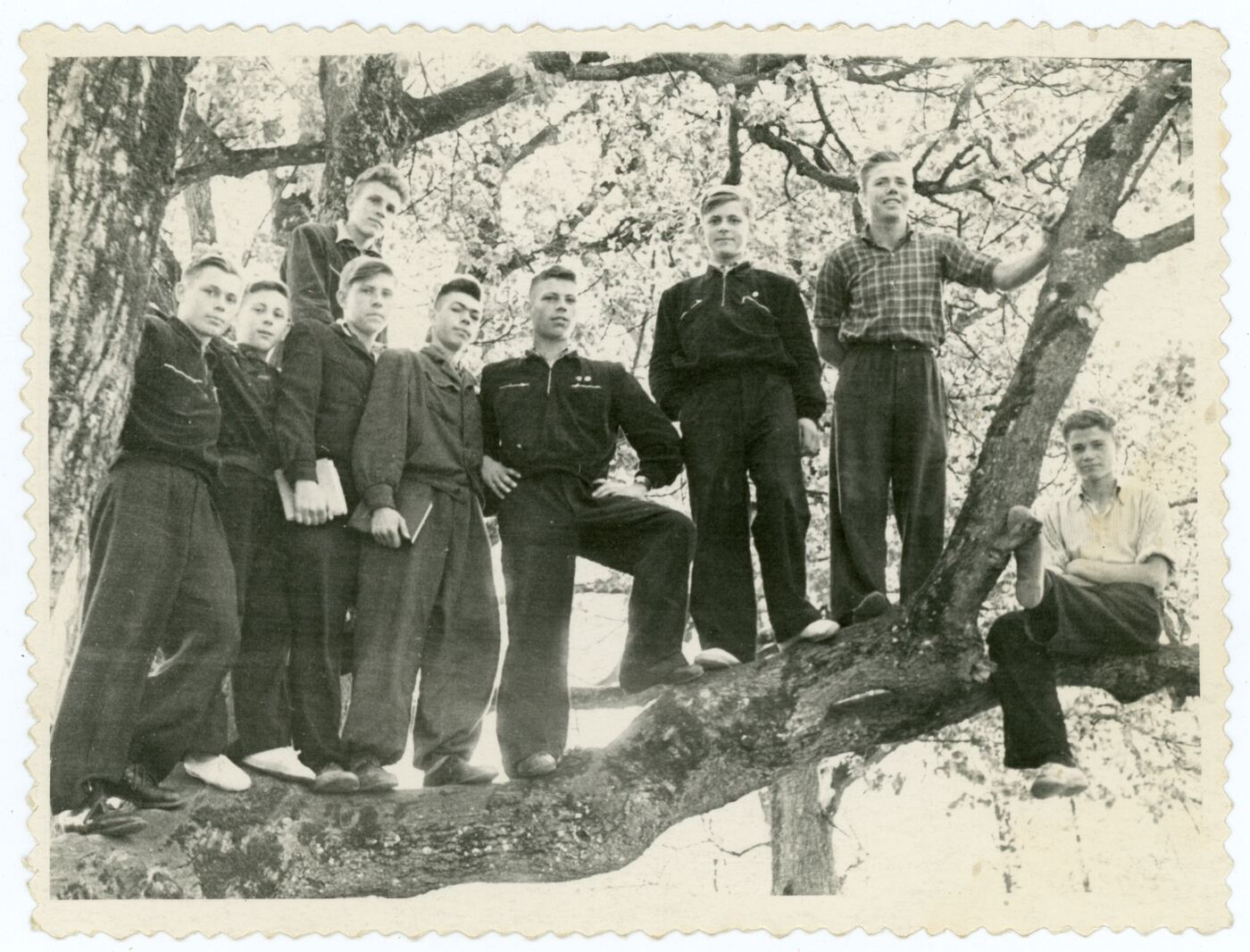 Nežinomas fotografas, Kelmės vidurinės mokyklos 10b klasė