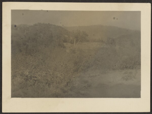 Louis Fleckenstein, [Landscape]