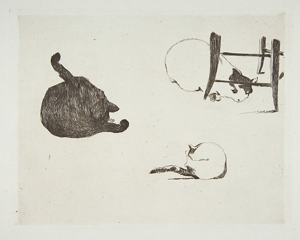 Edouard Manet, Cats