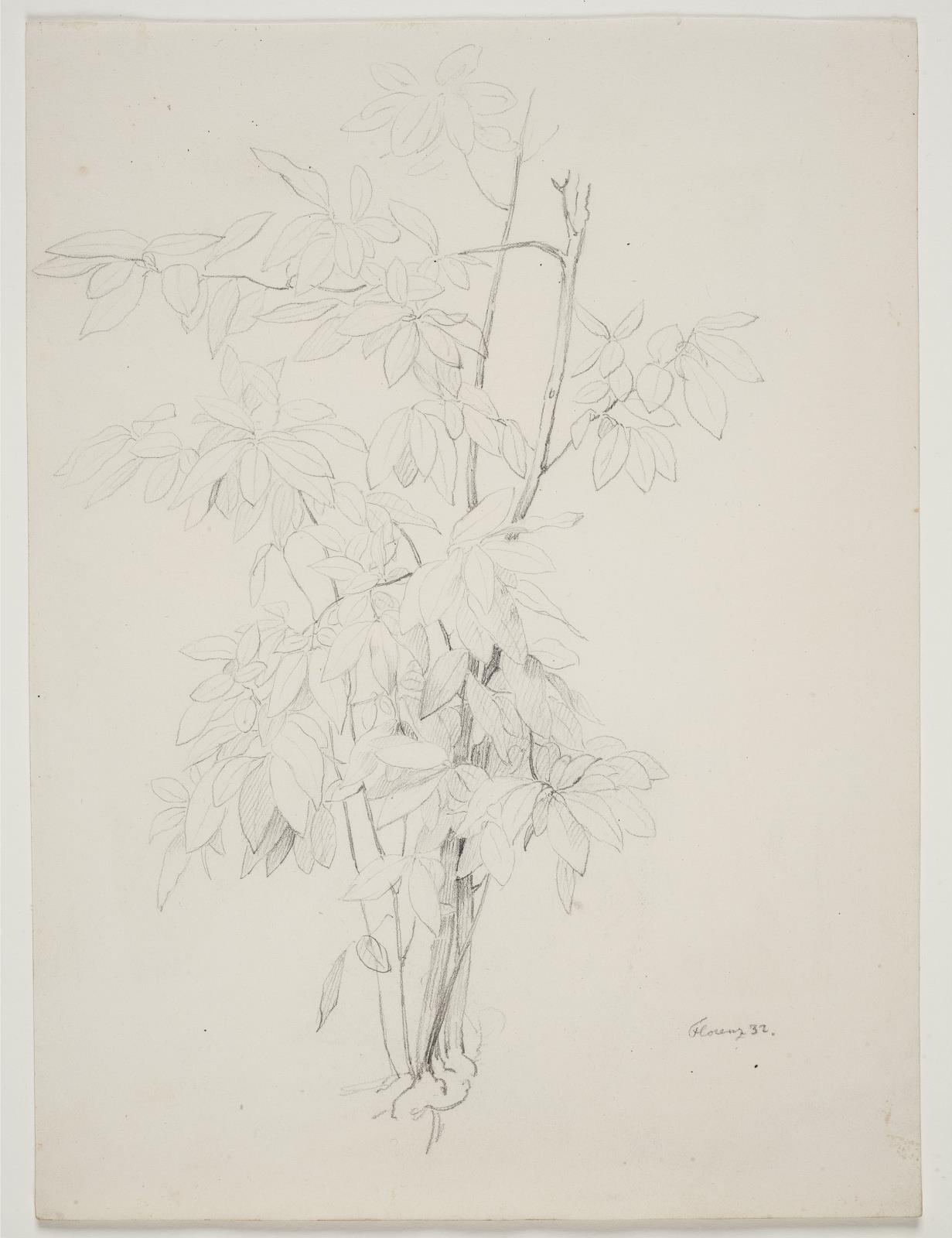 Ditlev Blunck, Plantestudie