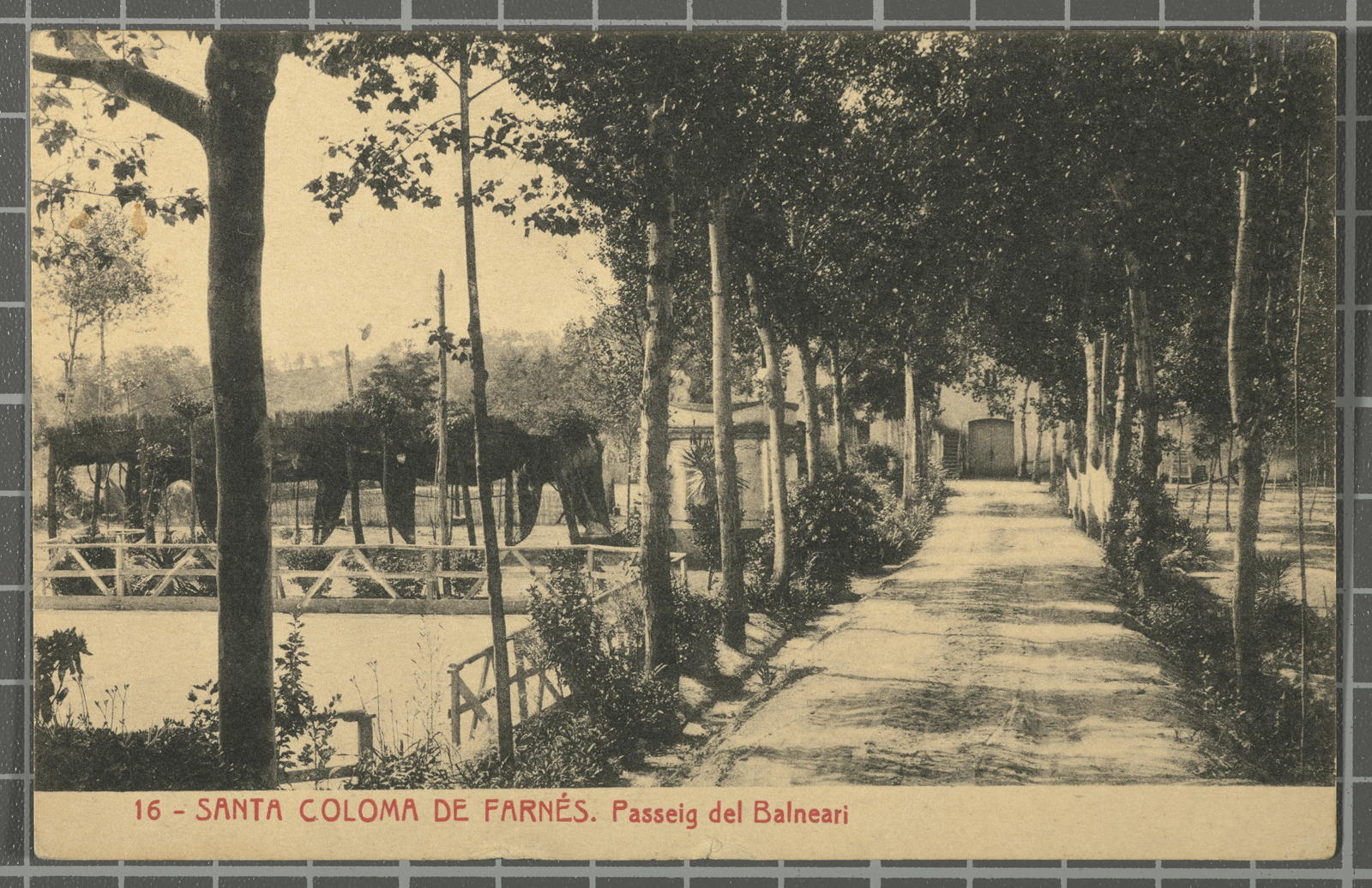 Desconegut, 16 - Santa Coloma de Farnés. Paseo del Balneario