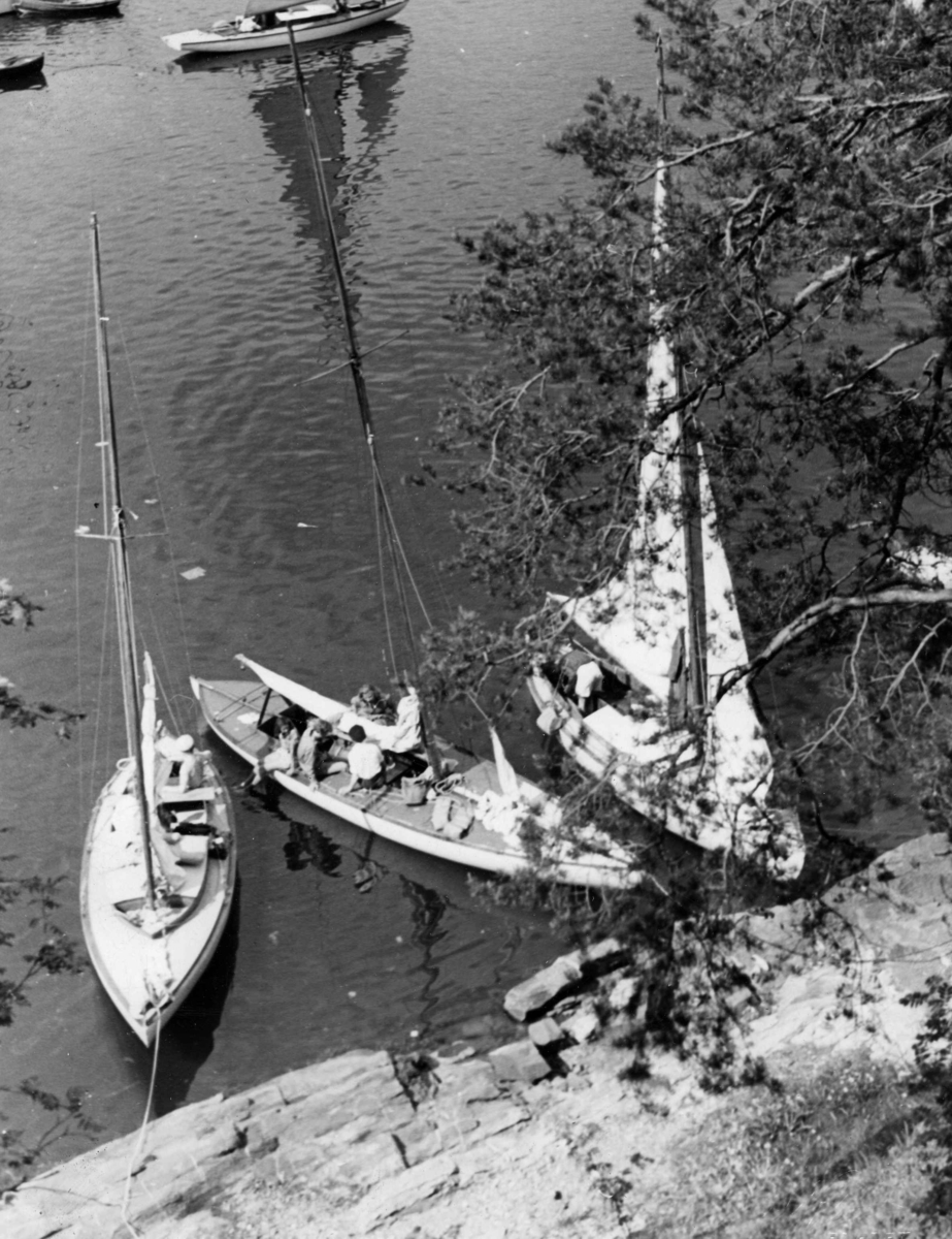Anders Beer Wilse, Seilsport