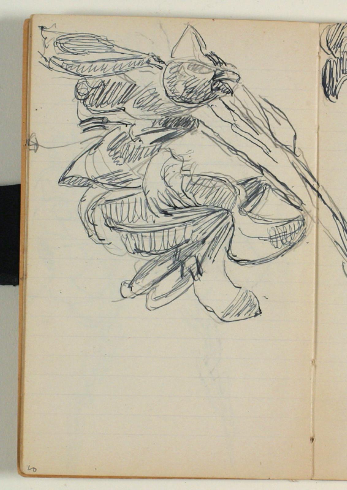 Niels Larsen Stevns, Blomsterstudier