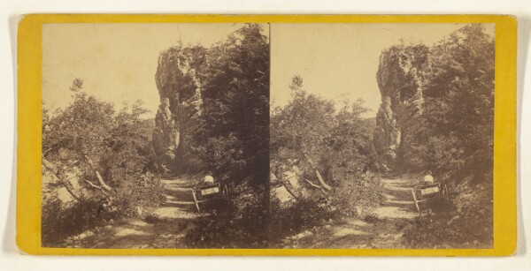 Edward and Henry T. Anthony & Co., Lover's Leap, on the French Broad River.