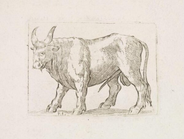 Unknown, Print