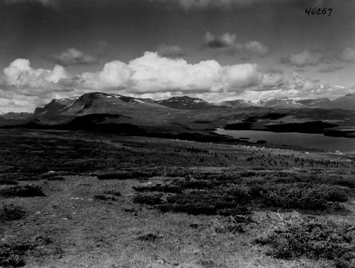 Anders Beer Wilse, Glomsrud, Skogshorn, Tisleifjorden, Hemsedal.