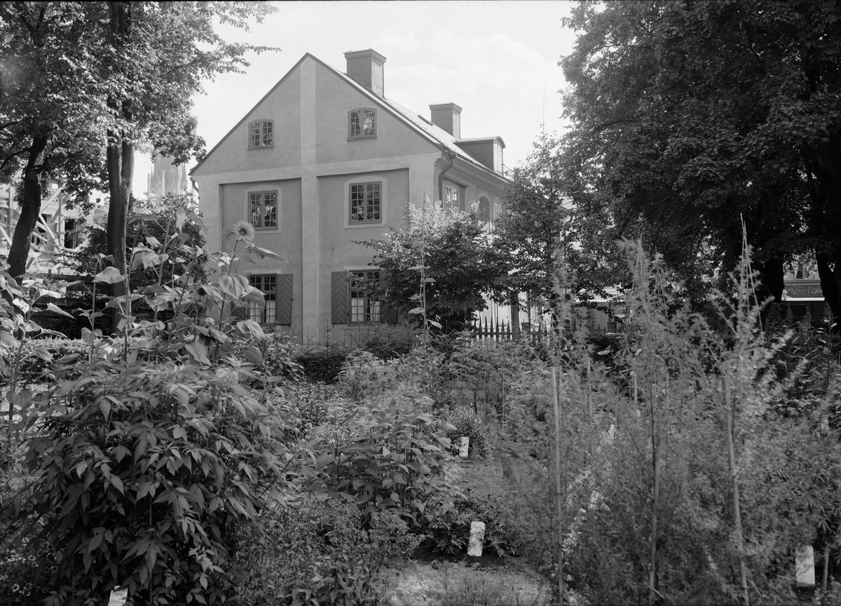 Paul Sandberg, Linnéträdgården, Uppsala 1939